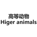 Higher animals高等动物