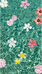恶之花LesFleursDuMal