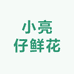 小亮仔鲜花