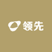 领先百货店