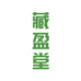 藏盈堂藏盈专卖店