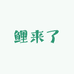 鲤来了锦鲤观赏鱼养殖