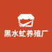 黑水虻源头养殖工厂店