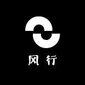 深圳风行电子汽车用品