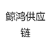 鲸鸿供应链