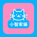 小智说猫