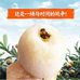 塘栖枇杷科技开发