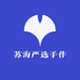 苏海严选手作