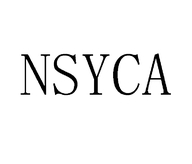 NSYCA聊城市庆威电子商务有限公司灯具专卖店
