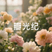 瓣光纪