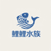 鲤鲤水族