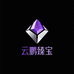 云鹏臻宝