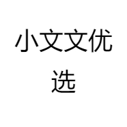 小文文优选