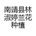 南靖县林淑婷兰花种植场的小店