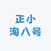 正小淘八号