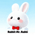 兔子先森Rabbi