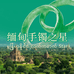 缅甸手镯之星