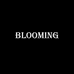 Blooming美妆工作室