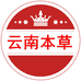 云南本草连锁店