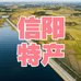 信阳特产