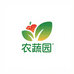 蔬菜臻选店