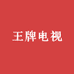 王牌电视机总公司