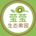 秦岭山莹莹生态果园