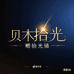 贝木拾光