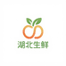 湖北生鲜食品店
