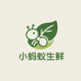 小蚂蚁生鲜供应链