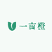 一亩橙