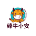 臻牛小安牛肉店