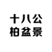 十八公柏盆景