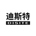 DISITE迪斯特旗舰店