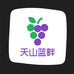 新疆天山蓝畔葡萄庄园