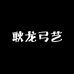 耿龙弓艺百货店