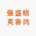 强盛精英赛鸽