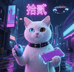 猫拾贰电子数码