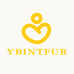 YBINTFUR