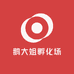 鹅大姐孵化场