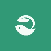 流量卡5G流量卡不限量不限速1009纯流量上网卡