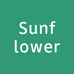 Sunflower半夏