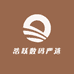 浩跃数码严选