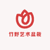竹野艺术盆栽