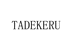 TADEKERU智能设备企业店