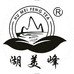湖美峰茶业