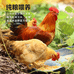 阳山六仔农副产品店