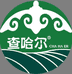 查哈尔