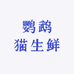 鹦鹉猫生鲜优选