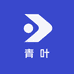 青叶龙舌兰